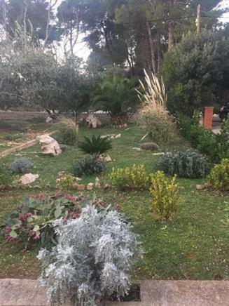 Kuca Za Odmor "Barbenjak" Vir Exterior foto